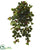 Silk Plants Direct Raspberry Hanging Bush - Pack of 1