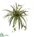 Silk Plants Direct Spider Plant Bush - Pack of 1