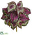 Silk Plants Direct Wax Begonia Bush - Pack of 1