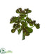 Silk Plants Direct Sedum Succulent Artificial Plant - Pack of 1
