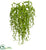 Silk Plants Direct Senecio Artificial Succulent - Pack of 1