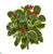 Silk Plants Direct Variegated Holly Leaf Bush Artificial Plant - Pack of 1