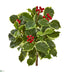 Silk Plants Direct Variegated Holly Leaf Bush Artificial Plant - Pack of 1