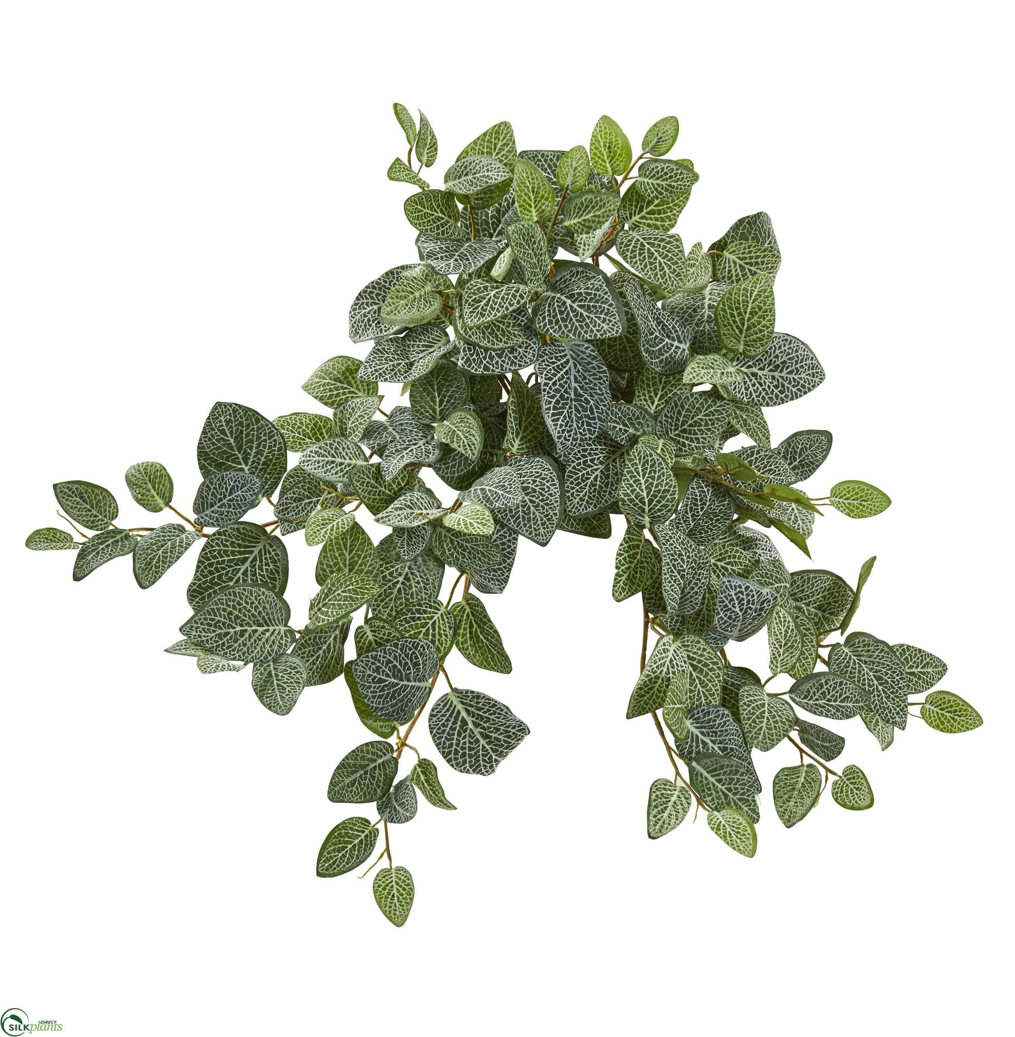 artificial silk hanging plants Silk Plants Direct Fittonia Artificial Hanging Bush