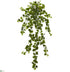 Silk Plants Direct Curly Ivy Artificial Hanging Plant - Pack of 1