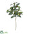 Silk Plants Direct Olive Spray Artificial Plant - Pack of 1