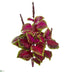 Silk Plants Direct Coleus Bush Artificial Plant - Pack of 1