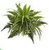 Silk Plants Direct Mixed Greens and Fern Artificial Bush Plant - Pack of 1