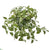 Silk Plants Direct Florida Beauty Hanging Artificial Plant - Pack of 1