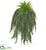 Silk Plants Direct Boston Fern Artificial Hanging Plant - Pack of 1