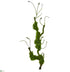 Silk Plants Direct Moss Twig Vine Artificial Plant - Pack of 1