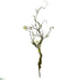 Silk Plants Direct Moss Twig Vine Artificial Plant - Pack of 1