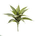 Silk Plants Direct Sanseveria Pick Artificial Plant - Pack of 1