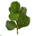 Silk Plants Direct Fiddle Leaf Artificial Plant - Pack of 1