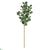 Silk Plants Direct Eucalyptus Artificial Branch - Pack of 1