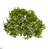 Silk Plants Direct Moss Artificial Bush Flower - Pack of 1