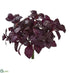 Silk Plants Direct Basil Artificial Plant - Burgundy - Pack of 6