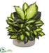 Silk Plants Direct Giant Dieffenbachia Artificial Plant - Pack of 1