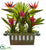 Silk Plants Direct Birds of Paradise and Bromeliad - Pack of 1