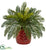 Silk Plants Direct Cycas - Pack of 1