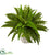 Silk Plants Direct Boston Fern - Pack of 1