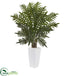 Silk Plants Direct Evergreen Plant - Pack of 1