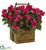 Silk Plants Direct Bougainvillea - Pack of 1