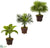 Silk Plants Direct Assorted Mini Palm Trees - Pack of 1