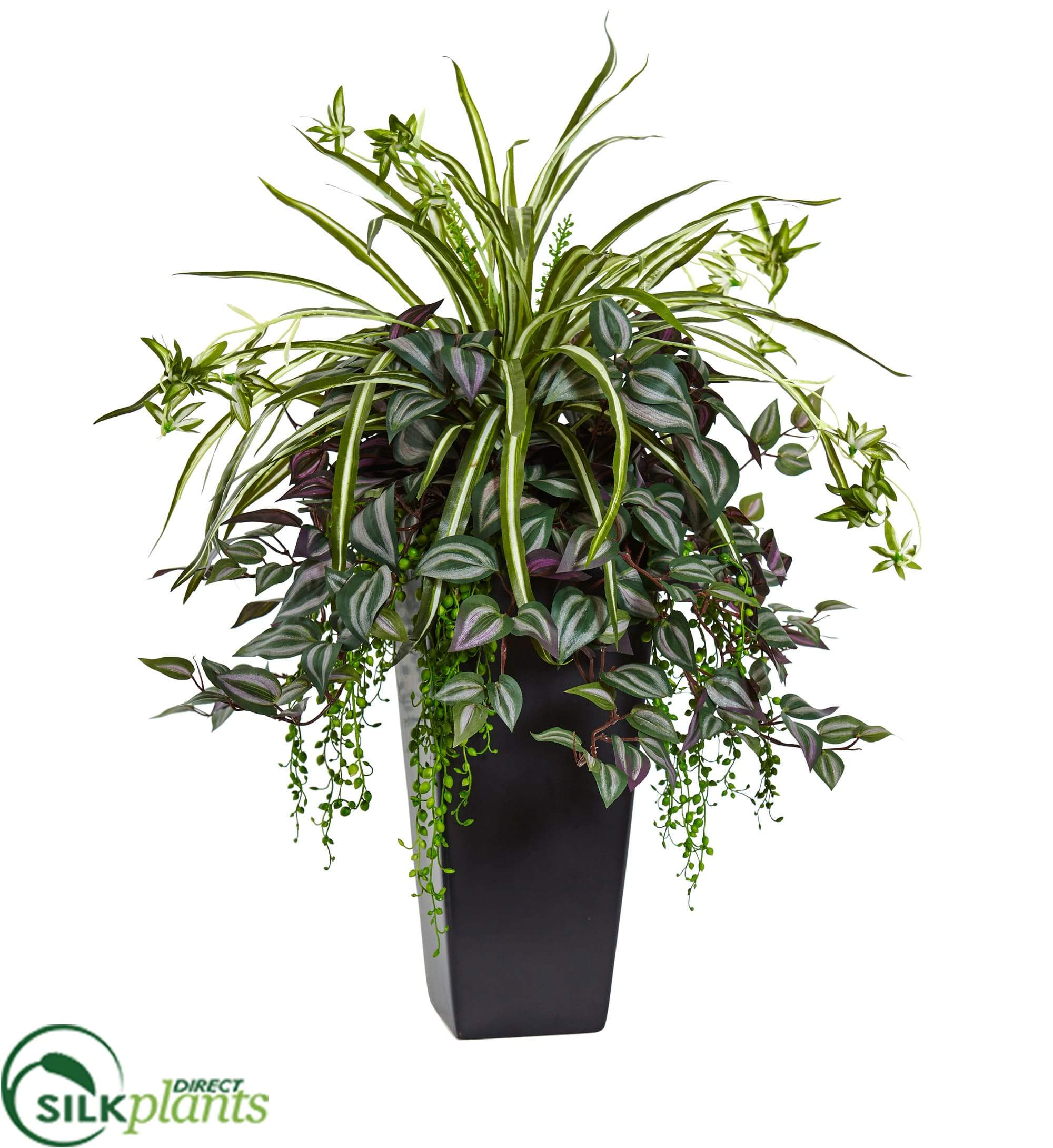 silk spider plant Silk Plants Direct Wandering Jew and Spider Plant