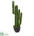 Silk Plants Direct Cactus Artificial Plant - Pack of 1