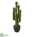 Silk Plants Direct Cactus Artificial Plant - Pack of 1