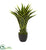 Silk Plants Direct Agave Artificial Plant - Pack of 1