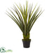 Silk Plants Direct Pandanus Artificial Plant - Pack of 1