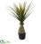 Silk Plants Direct Pandanus Artificial Plant - Pack of 1