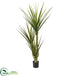 Silk Plants Direct Yucca Artificial Plant - Pack of 1