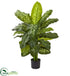 Silk Plants Direct Dieffenbachia Artificial Plant - Pack of 1