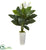 Silk Plants Direct Spathifyllum Artificial Plant - Pack of 1