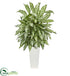 Silk Plants Direct Silver Queen Artificial Plant - Pack of 1