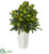 Silk Plants Direct Mixed Emerald Philodendron Artificial Plant - Pack of 1