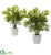 Silk Plants Direct Palms - Pack of 1