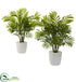 Silk Plants Direct Palms - Pack of 1