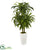 Silk Plants Direct Marginatum Artificial Plant - Pack of 1