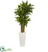 Silk Plants Direct Cornstalk Dracaena Artificial Plant - Pack of 1