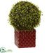 Silk Plants Direct Mohlenbechia Ball Artificial Plant - Pack of 1