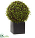 Silk Plants Direct Mohlenbechia Ball Artificial Plant - Pack of 1