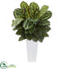 Silk Plants Direct Maranta Artificial Plant - Pack of 1