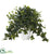 Silk Plants Direct Puff Ivy Artificial Plant - Pack of 1