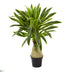 Silk Plants Direct Dracaena Artificial Plant - Pack of 1