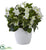 Silk Plants Direct Stephanotis Artificial Plant - Pack of 1