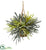 Silk Plants Direct Staghorn Hanging Basket Artificial Plant - Pack of 1